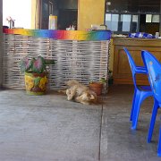 Baja2011 606 : Baja2011